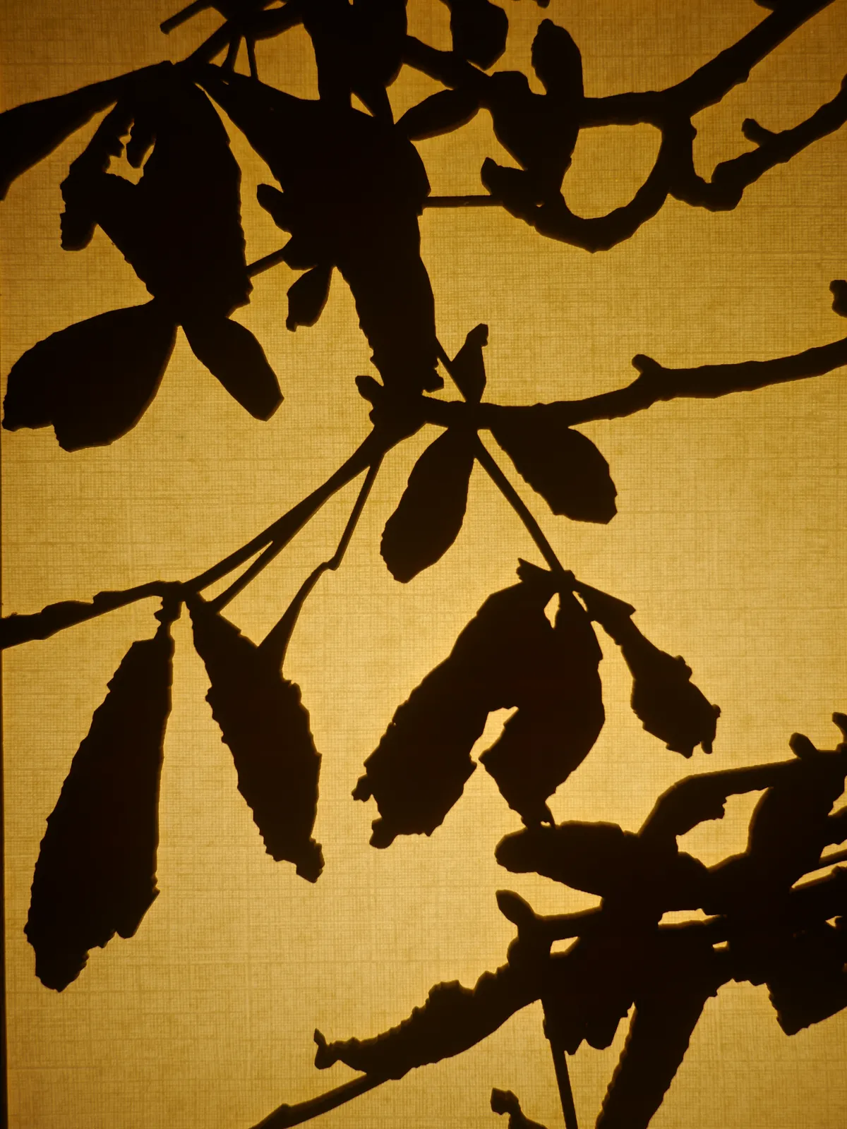 Detail